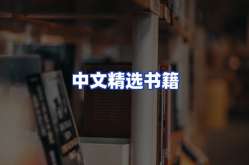 中文精选书籍